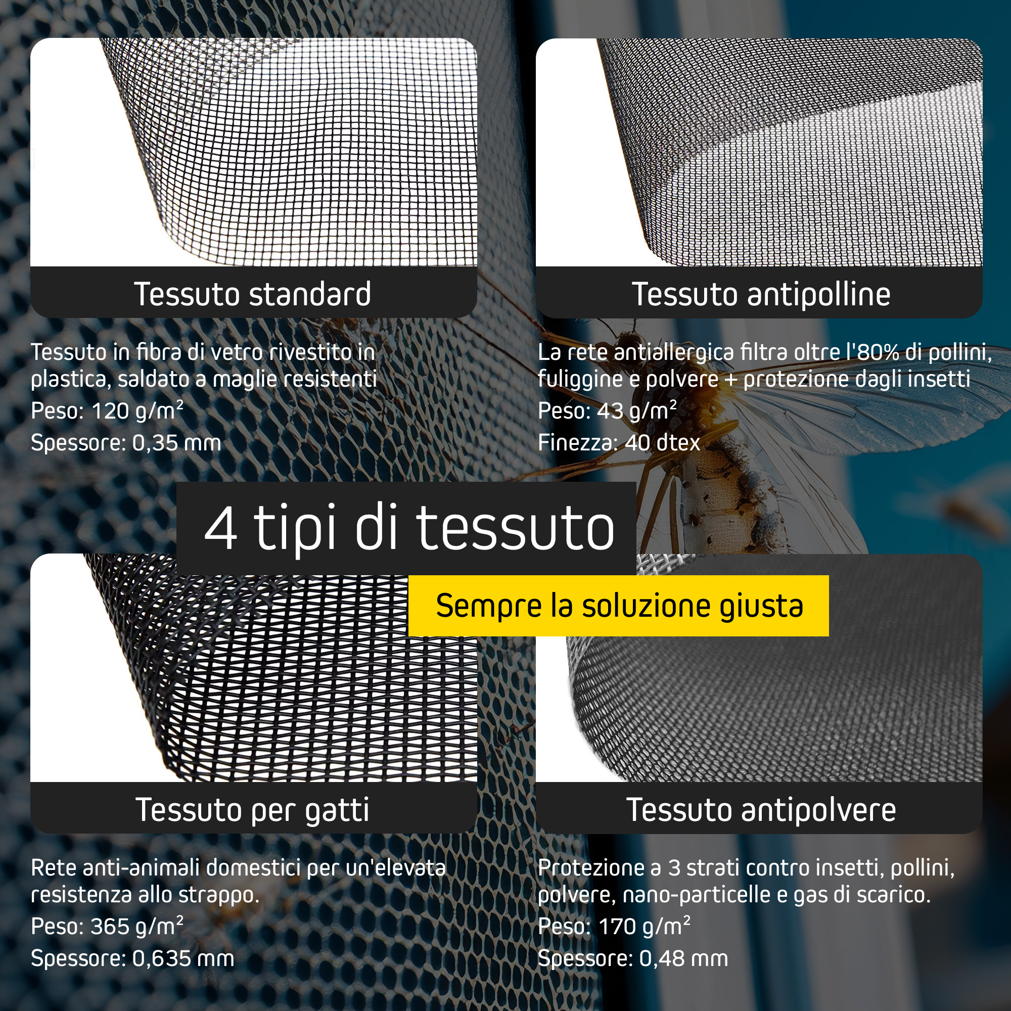 50000069-premium-it-4