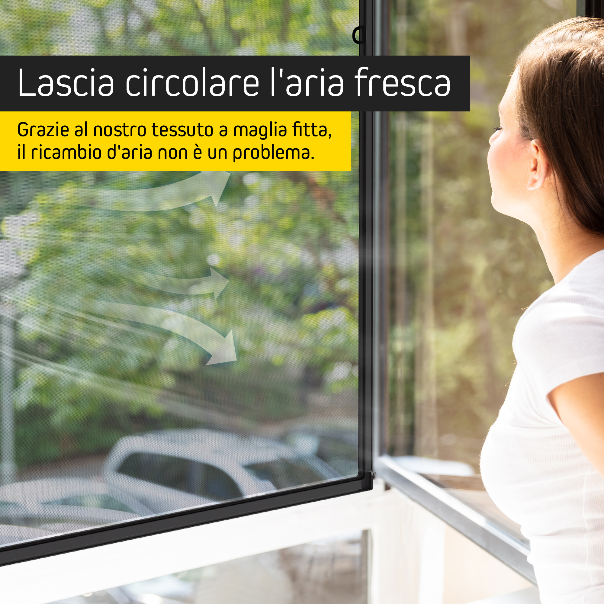 50000069-premium-it-5