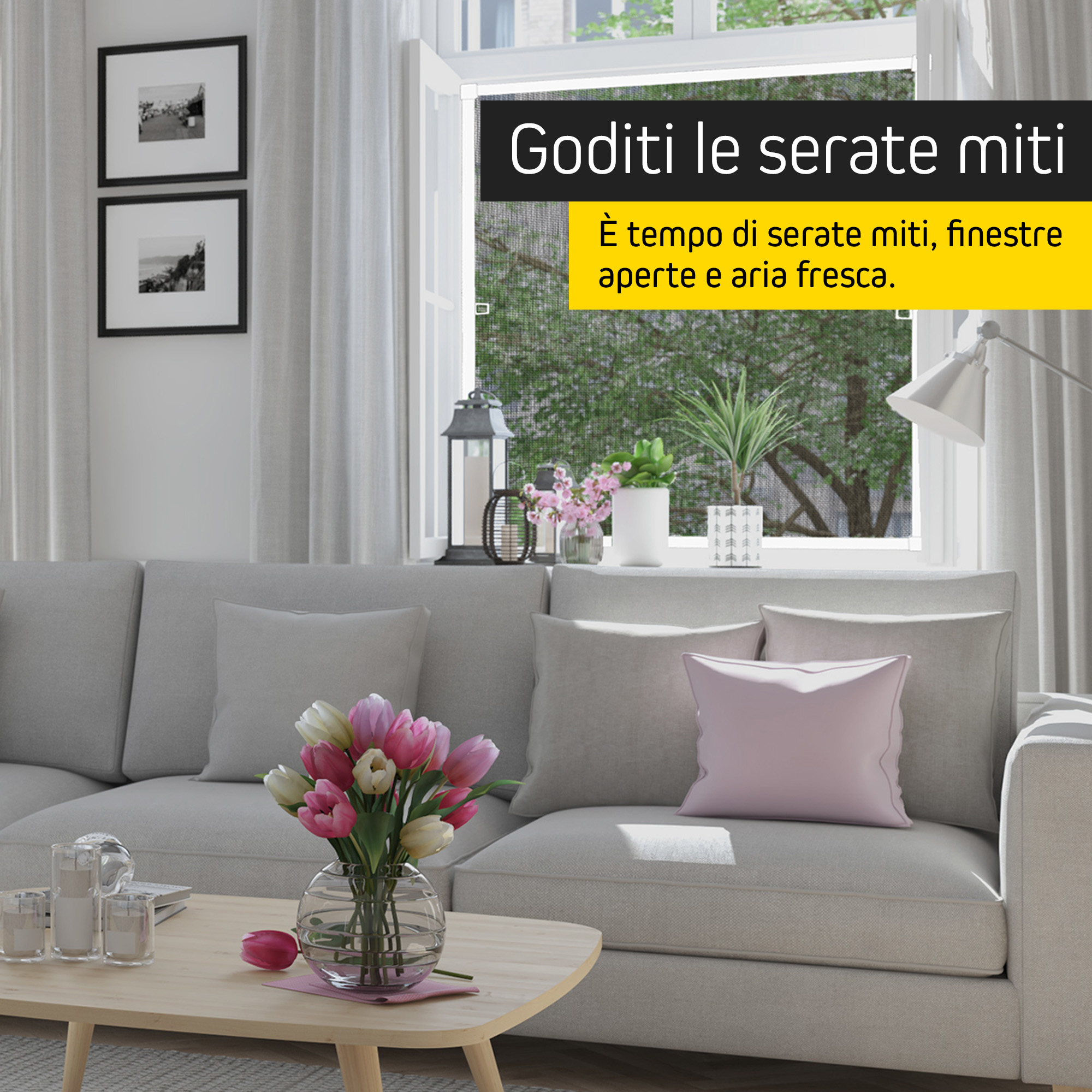 50000069-premium-it-6