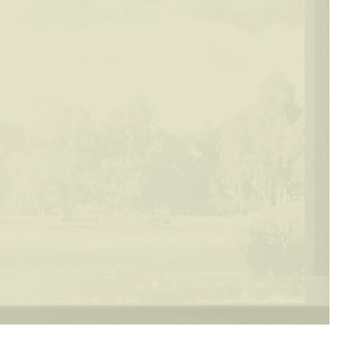 ED-126 crema - traslucido