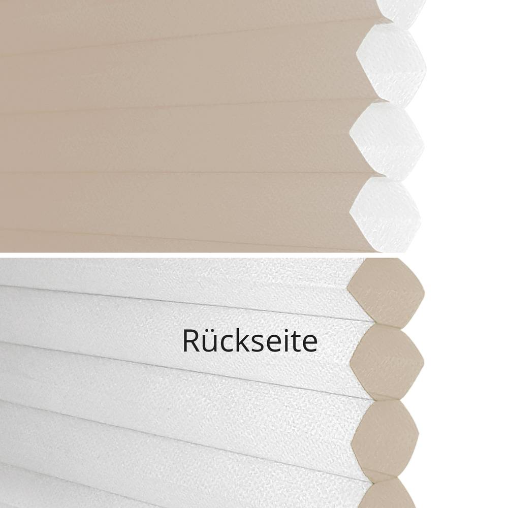 60018 marrone - traslucido