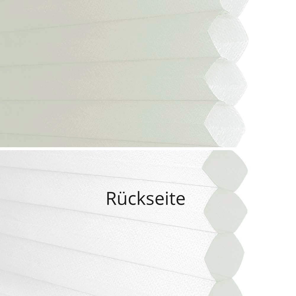 65001 beige - traslucido